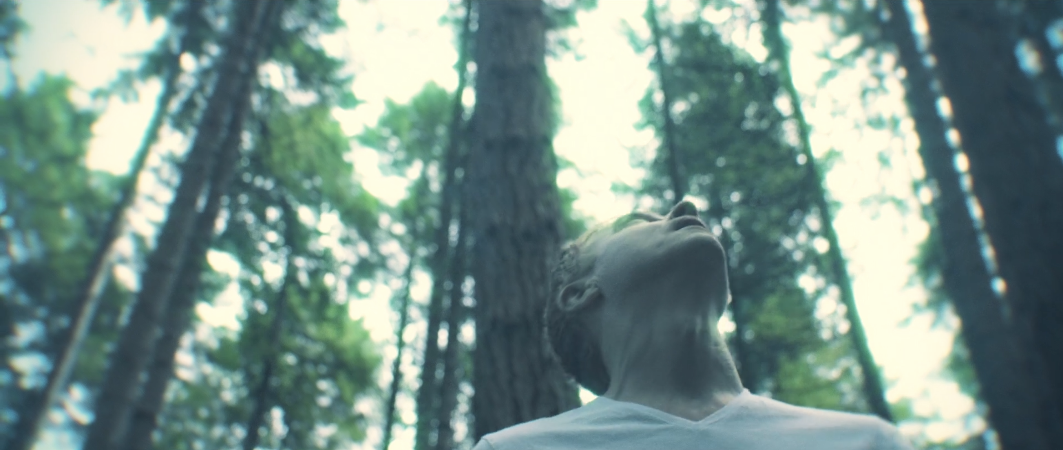 iamforest — Hollie music video